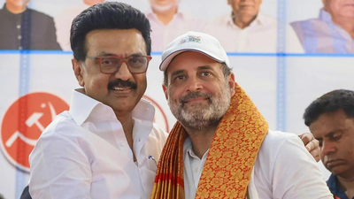 Mk stalin with rahul gandhi file photo.jpg