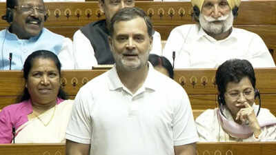 Rahul gandhi in lok sabha.jpg