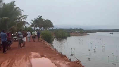 1779621087 pti image.jpg