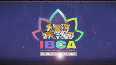 India exhorts big cat range countries to join treaty based global alliance ahead of its first summit.jpeg