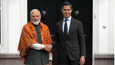 India netherlands set up joint working group on clean energy.jpg