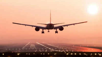 Lifeline government clears rs 5000 cr emergency credit scheme for airlines.jpg