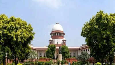 Political banter finds its way into legal arguments in sc.jpg