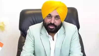 Punjab cm bhagwant mann has sought trust vote in assembly file photo.jpg
