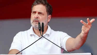 Rahul gandhi 6.jpg