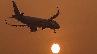 Representative image ani.jpg