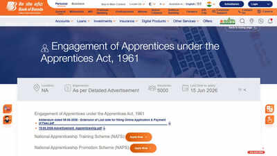 Bob recruitment 2026 apprentice.jpg