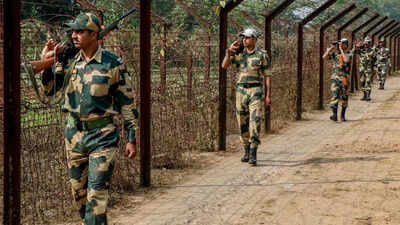 Bsf duty on india bangla border.jpg