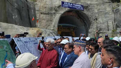 Gadkari zojila.jpg