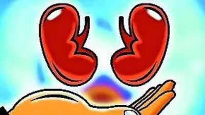 Hospitals told to make public their kidney transplant success rate.jpg