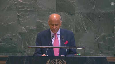 India at unga.jpg