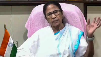 Mamata banerjee addresses media.jpg