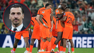Netherlands wcup soccer.jpg
