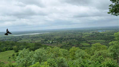 Telangana restoration.jpg
