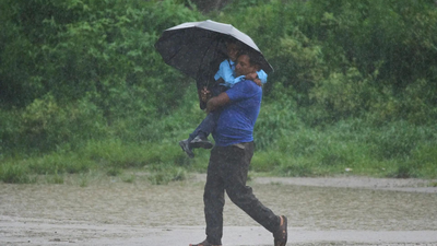 1785540877 representative image.jpg