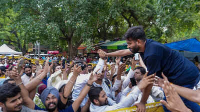 Abhijeet dipke at jantar mantar.jpg