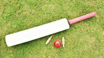 Cricket gen 3107 s.jpg