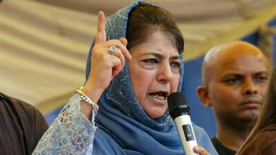 Mehbooba mufti on pellet gun.jpg