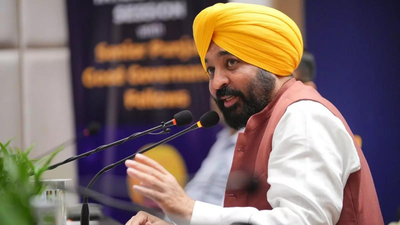 Punjab cm bhagwant mann.jpg