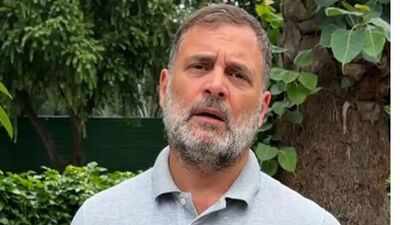 Rahul gandhi slams govt.jpg