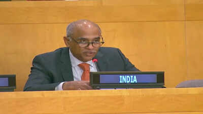 Security council reform is urgent india calls for un overhaul to make multilateralism 39fit for futu.jpeg