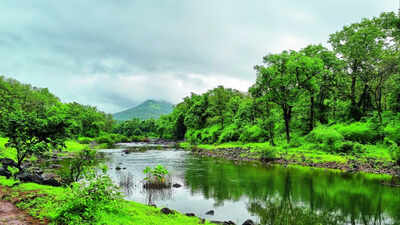 Western ghats.jpg