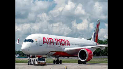 1786278945 air india.jpg