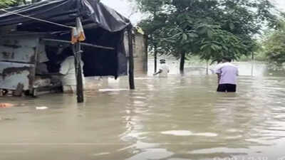 Ahmedabad schools may hold voluntary sunday classes to cover syllabus loss after rain related disrup.jpeg