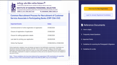 Aiapget application correction window opens.jpg