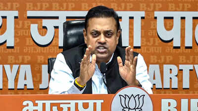 Bjp press conference.jpg