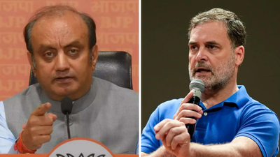 Bjp spokesperson rahul gandhi and rahul gandhi.jpg