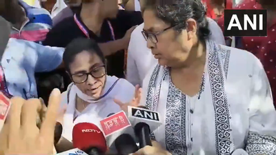 Former west bengal cm mamata banerjee.jpg