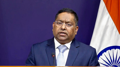 Mea spokesperson randhir jaiswal pti file photo.jpg