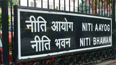 Niti aayog flags gaps in professional services rules suggests easier licensing and wider mobility.jp .jpeg