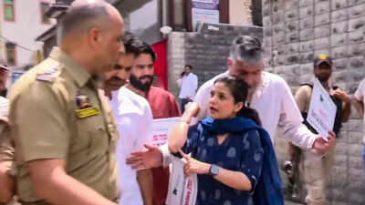 Pdp leader iltija mufti demands j ks special status.jpg