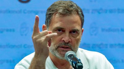 Rahul gandhi ani photo.jpg