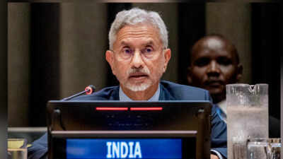 Eam s jaishankar during p4m summit.jpg
