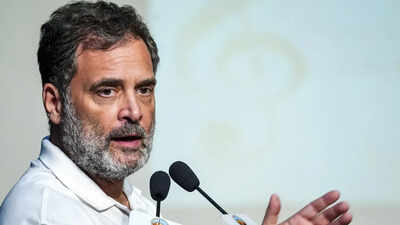 New delhi sep 10 ani lok sabha lop rahul gandhi addresses a memorial gatheri.jpg