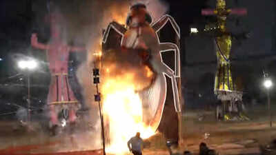 Cockroach effigy burnt.jpg