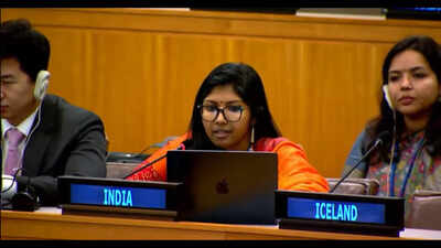 India at un.jpg