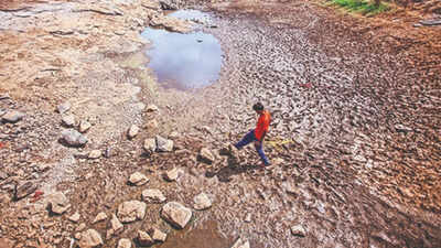 Marathwada amp west vidarbha turn hotter drier.jpg