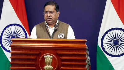 Mea spokesperson randhir jaiswal.jpg
