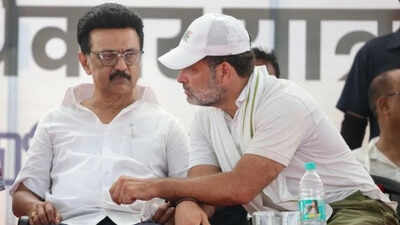Mk stalin rahul gandhi.jpg