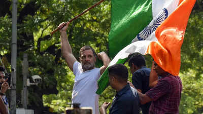 New delhi oct 06 ani lok sabha lop rahul gandhi holds the tricolour outside .jpg