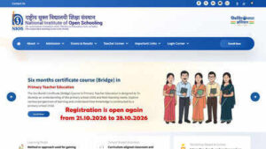 Nios bridge course 2026.jpg