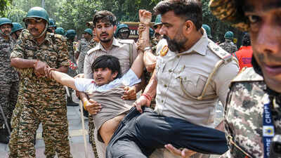 Sir protest representative image.jpg