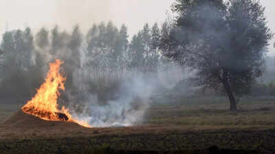 Stubble burning.jpg