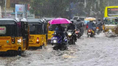 Tamil nadu school holiday.jpg