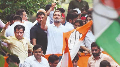 Traders urge rahul gandhi to defer india blocs nov 1 rally warn of rs 10000 crore diwali hit.jpg